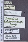 Etiketten zu Limonius beutenmuelleri (NHMW-ZOO-COL-0008601)
